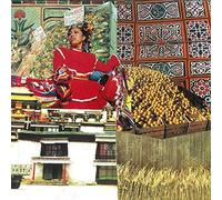 Flamingods - Hyperborea [Import]