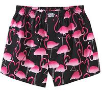 Flamingos