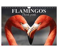 Flamingos Think pink (Wall Calendar 2026 DIN A4 landscape), CALVENDO 12 Month Wall Calendar: These beauties have long fascinated people
