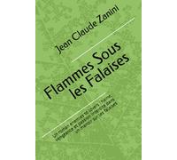 Flammes Sous les Falaises: Un roman enemies to lovers : haine, vengeance et passion interdite dans un manoir sur les falaises