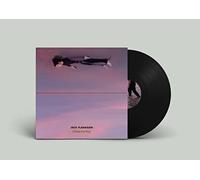 Flanagan,Jack - Rides The Sky [Import]