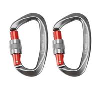 Flaroey 2 Pièces 25KN Mousqueton Crochet en Forme de D Équipement d'alpinisme en Alliage D'Aluminium pour la Randonnée, Le Camping, Crochets de B