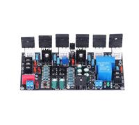 Flaroey Amplificateur de Puissance Mono 300 W 1943 + 5200 Amplificateur Audio Mono HiFi Module D'Amplificateur à Tube Haute Puissance, Facile à Utiliser, Fabrication Soignée