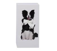 Flaroey Bote mouchoirs en forme d'animal de dessin anim, bote mouchoirs crative pour dcoration de bureau, bote serviettes, salle de bain salon mouchoir D