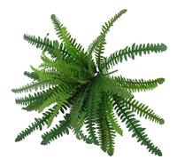 Flaroey Fougères Artificielles pour L'Extérieur et L'Intérieur, Grandes Fausses Fougères, Fausse Fougère de Boston pour Jardinière, Jardin, Porche, Entrée A