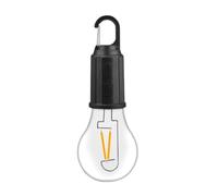 Flaroey Guirlande Lumineuse LED D'Extérieur avec Crochet, Ampoule USB de Type C 400 MAh, 3 Modes, Lumière de Suspendue, Lumières de Camping en Plein Air -T01