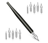 Flaroey Lot de 11 pointes de stylo de bande dessinée avec 10 pointes de rechange en acier inoxydable pour écrire, dessiner, signer, esquisser