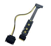 Flaroey M.2 Plaqué Argent pour NVME vers U.2 U.3 Adaptateur SSD pour Disque SSD PCI-E 4.0 GEN4 Câble D'Extension Haute Vitesse (B)