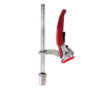 Flaroey Pince de maintien rapide pour le travail du bois - Pour bancs de travail du bois - Trou de 20 mm - Pince à cliquet F