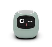 Flaroey Robot Intelligent pour Pot de Fleurs, Entretien des Plantes, Personnalisation, Robot Intelligent, Interaction Riche en, Compagnon, Cadeau, C