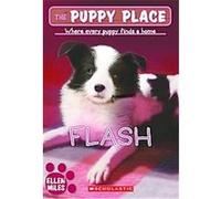 Flash, Puppy Place Ellen Miles (Auteur)