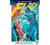 Flash T.6 Une journée froide en enfer/DC Rebirth