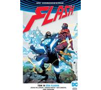 Flash The Flash Era Volume 14