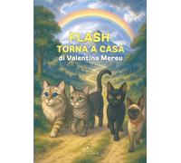 Flash torna a casa