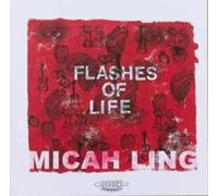 Flashes Of Life