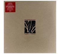 Flashlight Seasons (+MP3)