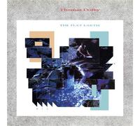 Flat Earth Édition Limitée Vinyle Argent Vinyle