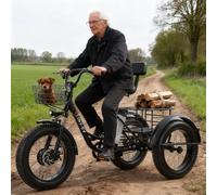 flatpincololee Tricycle Électrique pour Adultes 20"x4.0" Fat Tire - 48V 12Ah Batterie Amovible, Moteur 350W, Cadre Bas, Grand Panier, Freins à Disque Doubles, Idéal pour Seniors et Routes Neigeuses