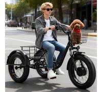 flatpincololee Tricycle Électrique pour Adultes Tout-Terrain 20"x4.0" - 48V 12Ah Batterie Amovible, Moteur 350W, Tricycle Adulte Électrique Non Pliant avec Suspension, Panier Cargo, Autonomie 40km