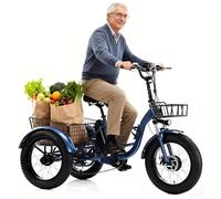 flatpincololee Tricycle Électrique pour Adultes Tout-Terrain 20"x4.0" - Batterie Amovible 48V 13Ah, Moteur 500W, Amortisseur, Pneu Large, Panier de Chargement, Phare LED Blue