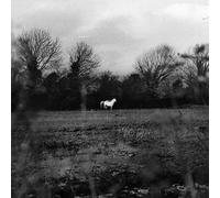 Flatsound - When You Run Away, Do You Close Your Eyes [Vinyl Lp] Explicit, White, Black