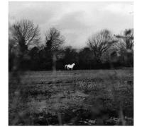 Flatsound - When You Run Away, Do You Close Your Eyes [Vinyl Lp] Explicit, White, Black