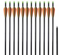 12x Flèche d'Arc Recourbé Fibre de Verre 30" 0,6 cm pour Tir à l'Arc vidaXL