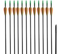 Flèche d arc recourbé 12 pcs 30 0,6 cm fibre de verre