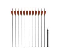 12 Flèches Standard En Carbone 30"" 0,76 Cm Pour Arc Classique