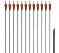 12 Flèches Standard En Carbone 30"" 0,76 Cm Pour Arc Classique