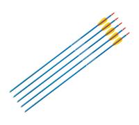 Flèche en aluminium 29" 8,0 mm - ensemble 5 pcs. Poe Lang - Blue