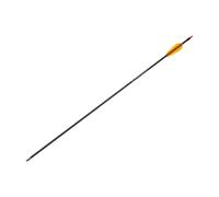 Flèche en fibre de carbone 28" Poe Lang - Black