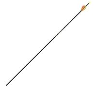 Flèche en fibre de carbone Edge Model 700 Skylon