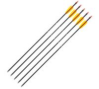 Flèche en fibre de verre Poe Lang 28" lot de 5 - Black