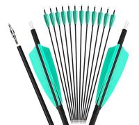 Flèches de chasse en carbone 28/30/31 pouces, rigidité 500, diamètre intérieur 6,2 mm, plumes de dinde 4 pouces pour arcs traditionnels recurve et arcs à poulies (6 Pièces,Bleu aqua,31 Pouces)