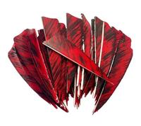 Flèches De Plumes De Chasse 50 Pièces, Bouclier De Palette De Tir À l'arc en Plumes, Fletchings De Tir À l'arc De pour Chasse, Tir sur Cible, Accessoires De