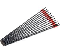 Flèches en carbone, 31,5 pouces de longueur totale, pointe de flèche de 100 grains, rouge 24 pièces