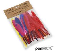 Fléchettes plumes mixtes 10-15cm 50pcs