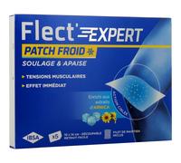 IBSA Flect'Expert Patch Froid – Extraits d'Arnica et de Marron d'Inde – Hydrogel – 5 patchs
