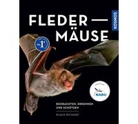 Fledermäuse