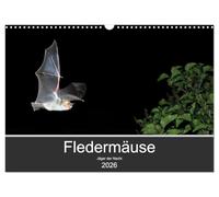 Fledermäuse - Jäger der Nacht (Wandkalender 2026 DIN A3 quer), CALVENDO Monatskalender: Fotos unserer europäische Fledermäusen aus allen Jahreszeiten.