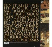 FLEET FOXES - FLEET FOXES GREEN VINYL 2 VINYL LP NEUF