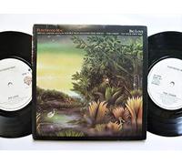 Fleetwood Mac - Big Love
