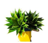 Fleixoaptv Arbre De Yucca Tropical Artificiel, Grande Plante, Fausse Branche d'arbre en Pot, Feuilles D'agave en Plastique, Feuilles De Palmier Vertes for La Décoration Intérieure Et Extérieure(S)