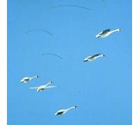 Flensted Mobiles Mobile pour chambre d’enfant Cygnes