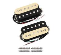 FLEOR Alnico Lot de 5 micros pour guitare Humbucker Zebra Manche et chevalet