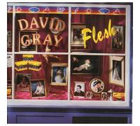 David Gray – Flesh – 2e album