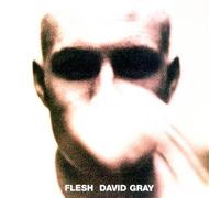 Flesh by DAVID GRAY [Audio CD] NEUF
