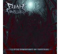 Ecliptic Dimensions of Suffering