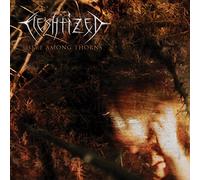 Fleshtized - Here Among Thurns [Import]
